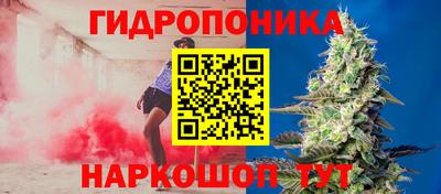 spice Дубна
