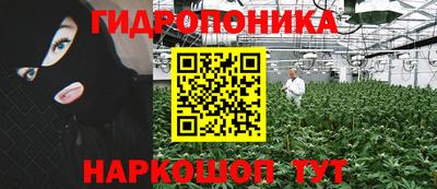 spice Дубна