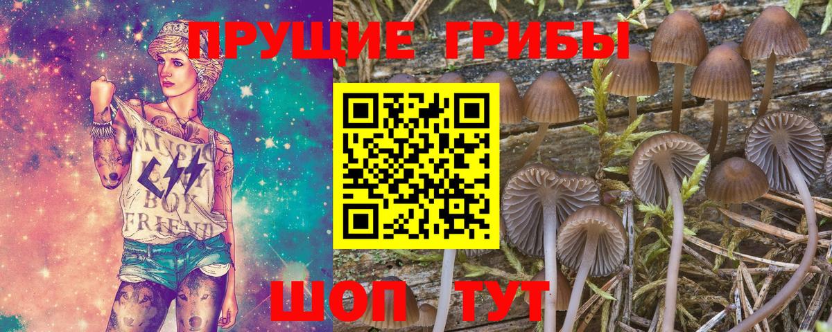 Галлюциногенные грибы Psilocybe  Псилоцибиновые грибы Psilocybe  Нижнекамск  Вход с VPN 