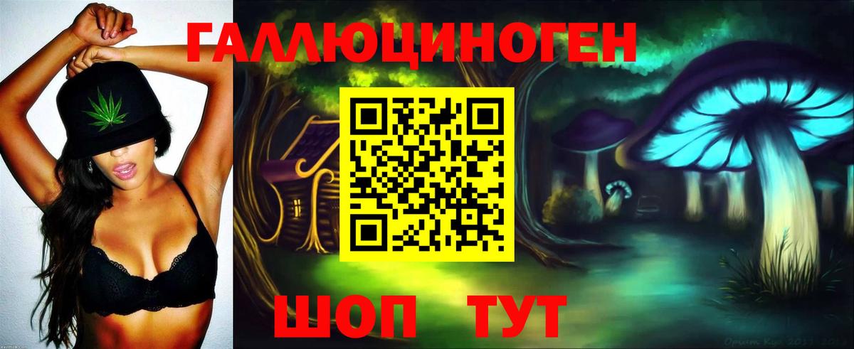 Галлюциногенные грибы Psilocybine cubensis Нижнекамск