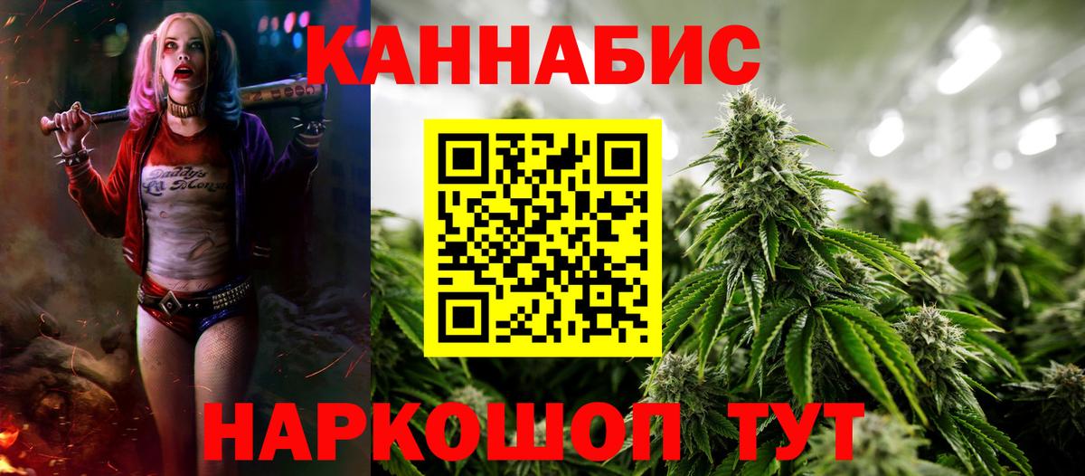 Каннабис Amnesia  Вход с VPN  Бошки марихуана марихуана  Нижнекамск  Каннабис сатива 